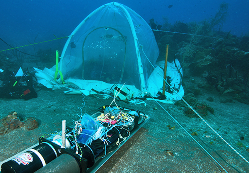 Expedition Saba Bank 2016 - Camping under water